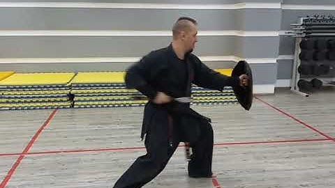 🐢 Tinbe Bunkai (alternative application) kata Kanegawa no Tinbe テ ィ ン ベ ー Ryukyu kobudo