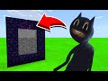 How To Make A Portal To CARTOON CAT in Minecaft Pocket Edition/MCPE