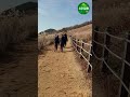 새별오름 - 소리정원 #소리정원