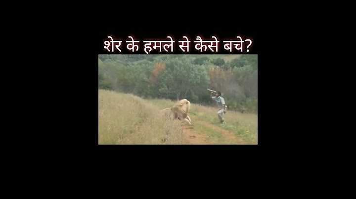 शेर के हमले से कैसे बचे।How To Avoid Lion Attack|| #shorts #lion