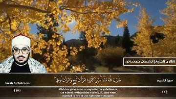 ابداع لا نظير له لفضيله الشيخ الشحات محمد انور | سوره التحريم المباركه