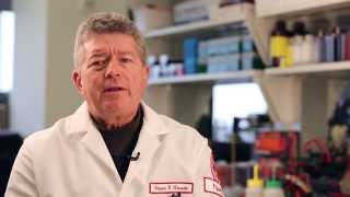 Faculty Focus: Fixing Failing Hearts