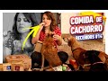 EXPERIMENTEI COMIDA DE CACHORRO - UNBOXING