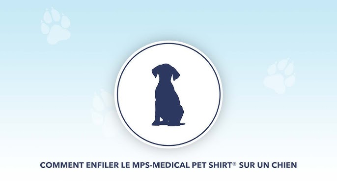 Redaktør Portico Hurtig Medical Pet Shirts International - Professional Product Line - YouTube