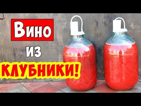 Вино из КЛУБНИКИ / Клубничное вино / ПРОСТОЙ РЕЦЕПТ! Strawberry wine!