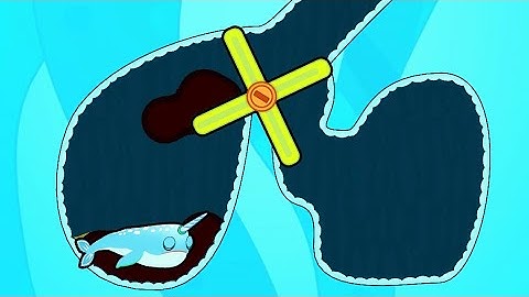 Save The Fish Gameplay All Levels Android iOS Levels (286-300) Walkthrough