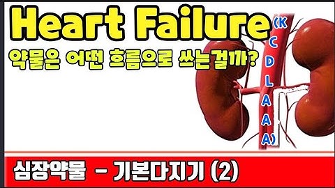 심장약물 이해하기 / 약물의 흐름을 알면 일이 조금은 더 즐거워지겠죠?^^