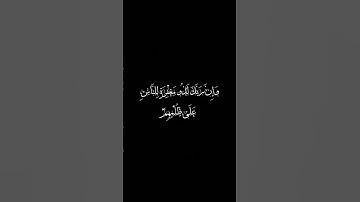تلاوة هادئة للقارئ اسلام صبحي #راحة_نفسية #اسلام_صبحي #اكسبلور