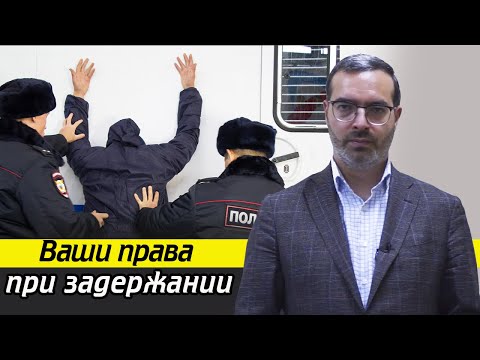 Какие у вас права при административном задержании? / Что делать при задержании полицией? Какие у вас права при административном задержании? / Что делать при задержании полицией?
