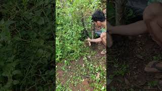 bersih bersih lahan #farning #garden #asmr