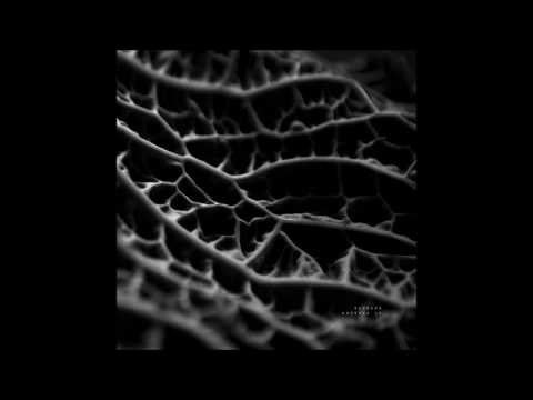 Ruhbarb — Ruhbarb - Field [ODDEVEN009]