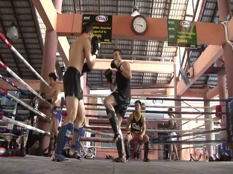 Fairtex Muay Thai Boxing Shin Guards SP5 Shin Pads