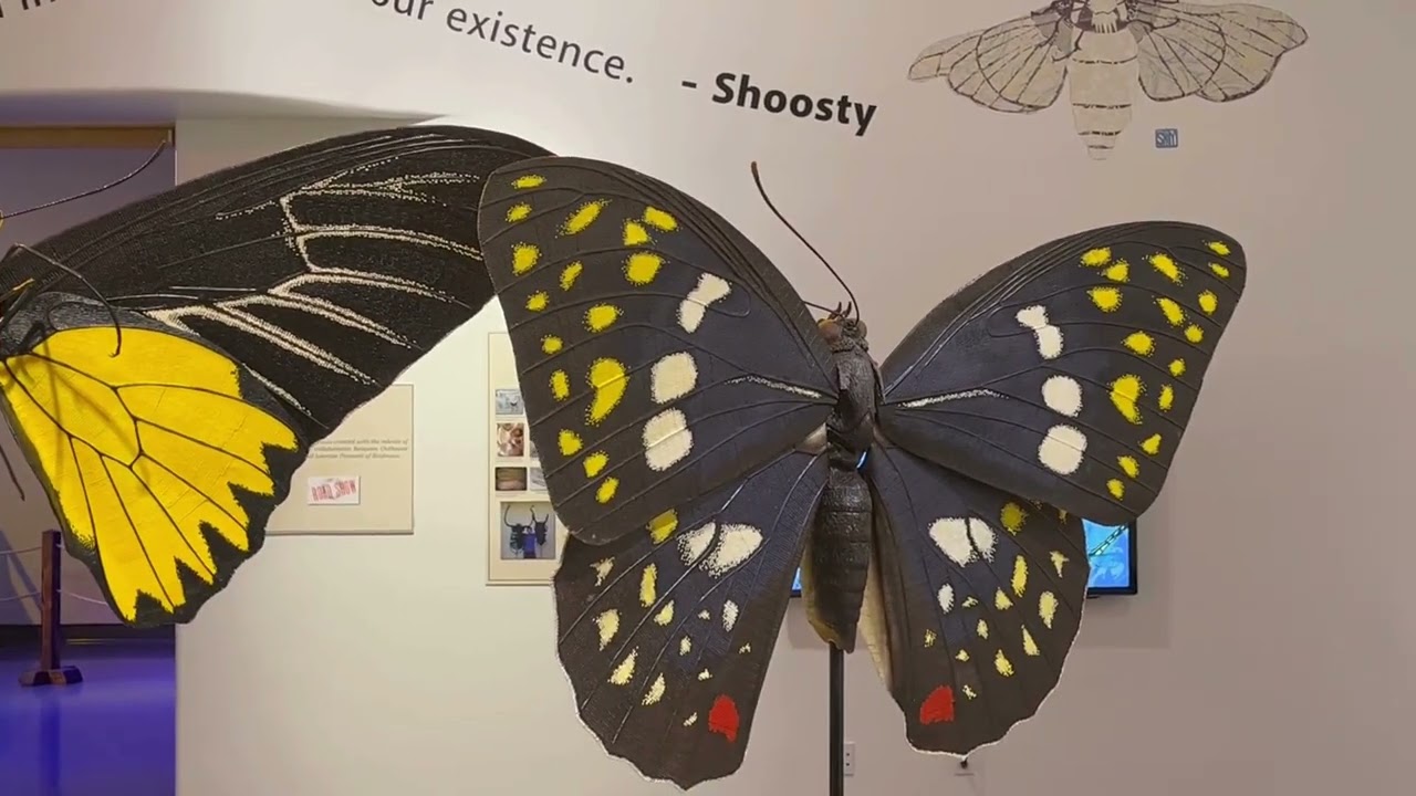 From Tiny to Timeless - The Remarkable Scale of Life