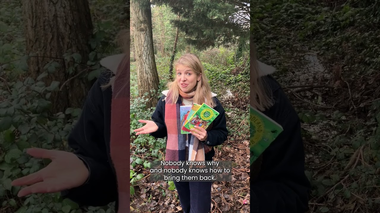 Ewa Jozefkowicz introduces The Woodland Explorers Club Books