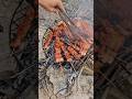 Beach BBQ