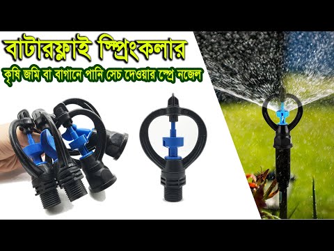 ভিডিও: সামারিয়াম কোথায় পাওয়া যায়?