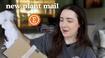 Unbox a New Plant With Me! ✨ bonus video ✨