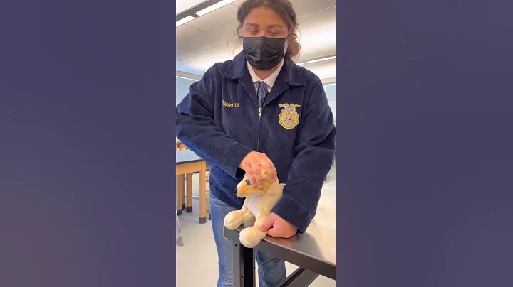 Hailey Rodriguez - Restraint for IV Catheter Place...