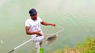 Amazing Fishing.Catching catfish in the dry season,find catfish in dry season......