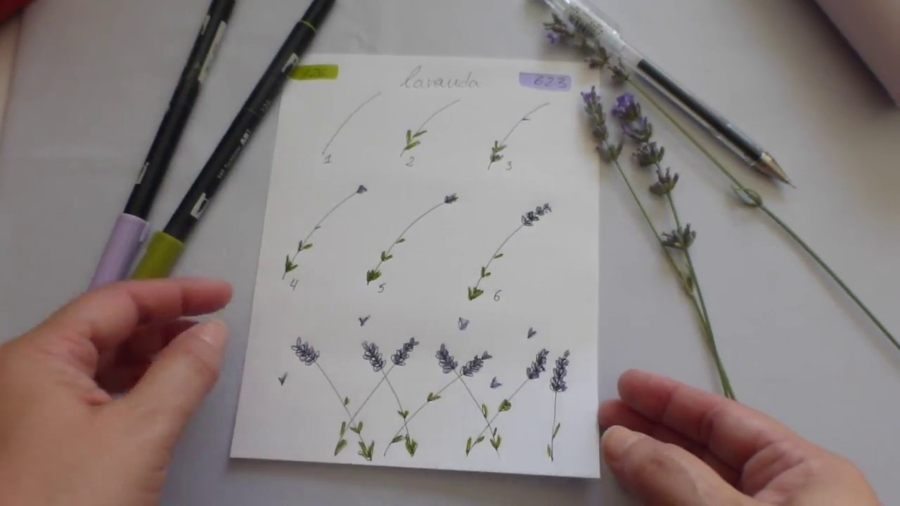 Como dibujar Flor de Lavanda - YouTube