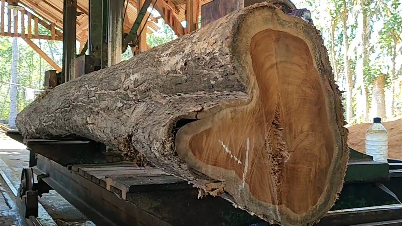 sawing old teak logs into beautiful grained wooden blocks at the ...