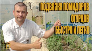 ПОДВЯЗКА ПОМИДОР (ОГУРЦОВ) БЫСТРО И ЛЕГКО.(Пасынкование помидоров (томатов): https://youtu.be/JvsZKjHzmao Подвязка томатов (огурцов, перцев, баклажан) быстро и легк..., 2016-06-19T06:31:11.000Z)