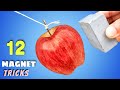 12 Awesome Magnet Tricks || Science Experiments With Magnet