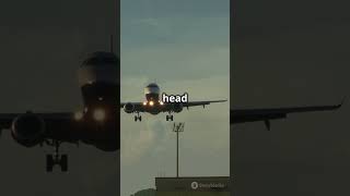 Bird Strike At Takeoff What Happens?