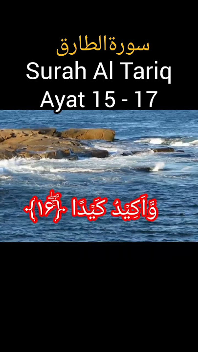 Surah At Tariq سورةالطارق Ayat 15-17 #shortvideo #zakhiraequran #youtubeshorts #short #ytshorts
