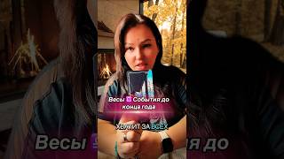 Весы ♎️ События к концу года #гороскоп #весы #весытаропрогноз