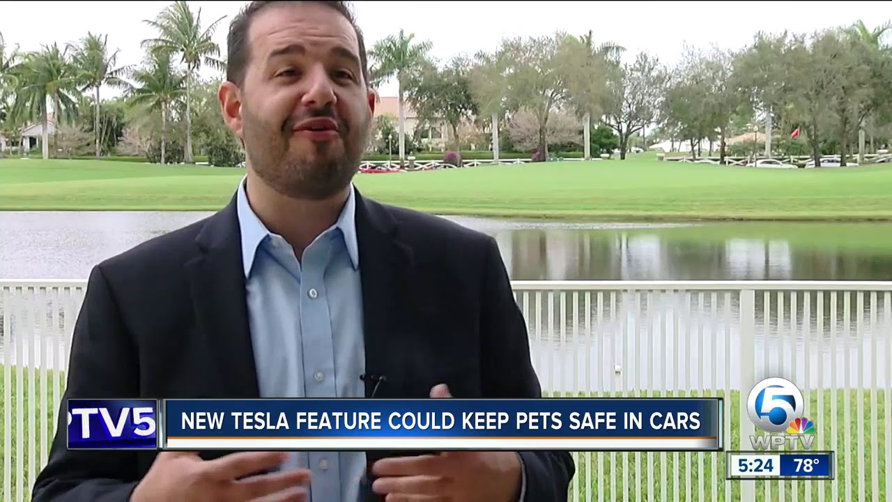 Tesla expected to roll out 'Dog Mode'