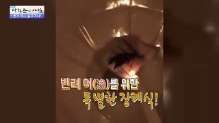 물고기 안녕...변기 속으로 안녕... [광화문의 아침] 334회 20161012