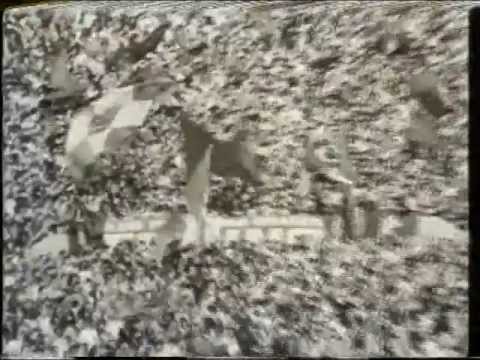 1976: l'ultimo scudetto del Torino - YouTube