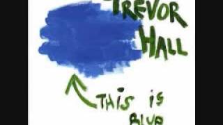 Video thumbnail of "Trevor Hall - Well I Say"