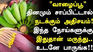 வாழைப்பூ மருத்துவ நன்மைகள்!! | Banana Flower Health Benefits in Tamil| Health Tips in Tamil 