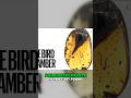 THE LAST DAY OF DINOSAURS PART 12 #dinosaurs #reyou #dinosaur #trex #reyouniverse #asteroid #fyp Mp3 Song
