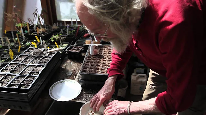 Seed Germination Methods