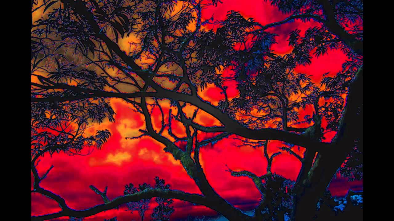 MYSTIC PLANET DREAMS