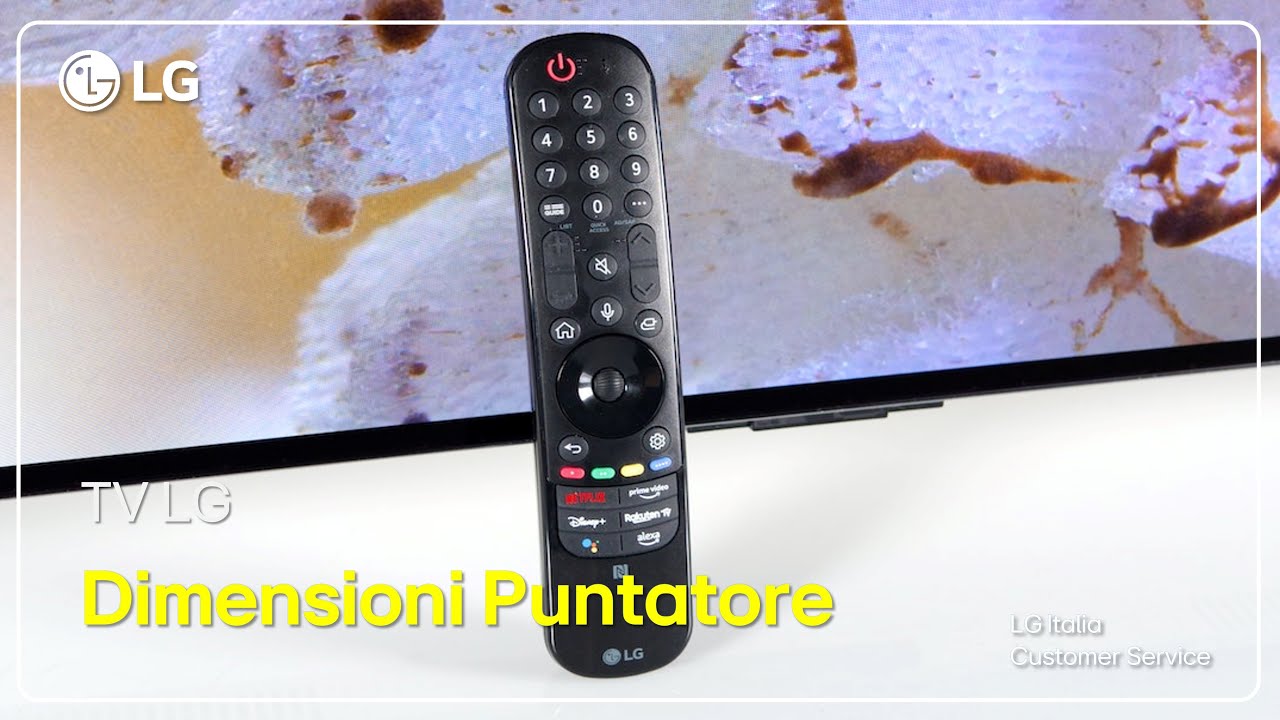 TV LG  Guida Rapida Menù - Come modificare le dimensioni