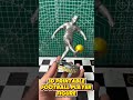 ✨ MESSI OR RONALDO? – WHO’S YOUR GOAT? 🐐🔥#3dprinting #football #messi #ronaldo #cr7 #goat