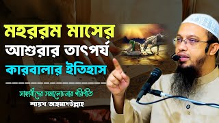 মহররম মাস ও আশুরার তাৎপর্য কারবালার ইতিহাস | শায়খ আহমাদুল্লাহ | sheikh ahmadullah | ahmadullah waz