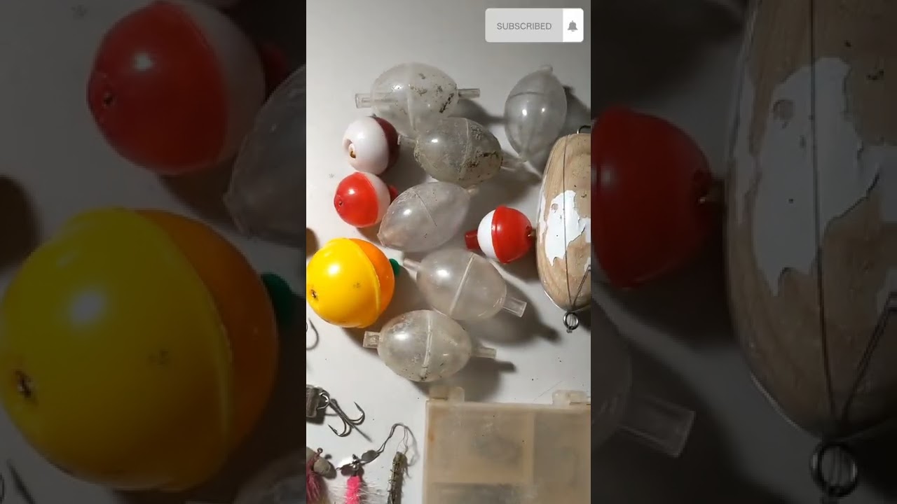 Picking up trash from a local pond! Best finds! 