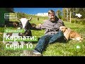 Влог Карпати #10. Космач, Прокурава · Ukraїner