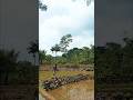 obat stres,nyari belut disawah,alam pedesaan yg indah#sawah #alampedesaan #hidupdidesa #vlogpedesaan