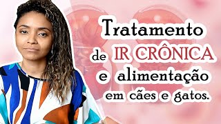TRATAMENTO DE INSUFICIÊNCIA RENAL CRÔNICA EM CÃES E GATOS.