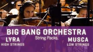 VSL BBO: Lyra & Musca, High & Low Strings - Introduction