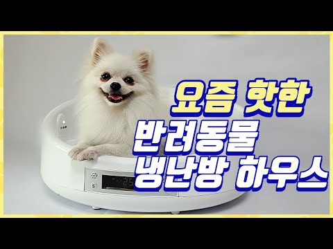 [광고]리송에서 소개하는 반려동물 냉난방 하우스