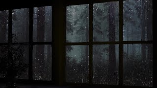 24/ Rain On Window with Thunder Sounds  Rain in Forest at Night  Relaxation and Sleep