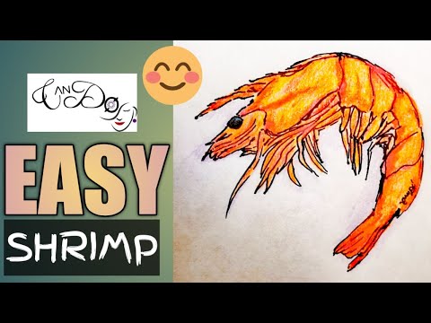 How To Draw A Shrimp Step By Step For Beginners | Easy Drawing Tutorial | Raw shrimp drawing