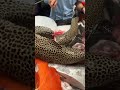 🔥 Amazing Fish Cutting Skills